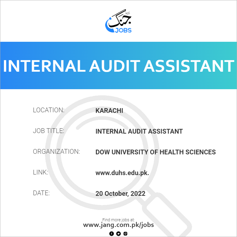 Internal Audit Assistant 