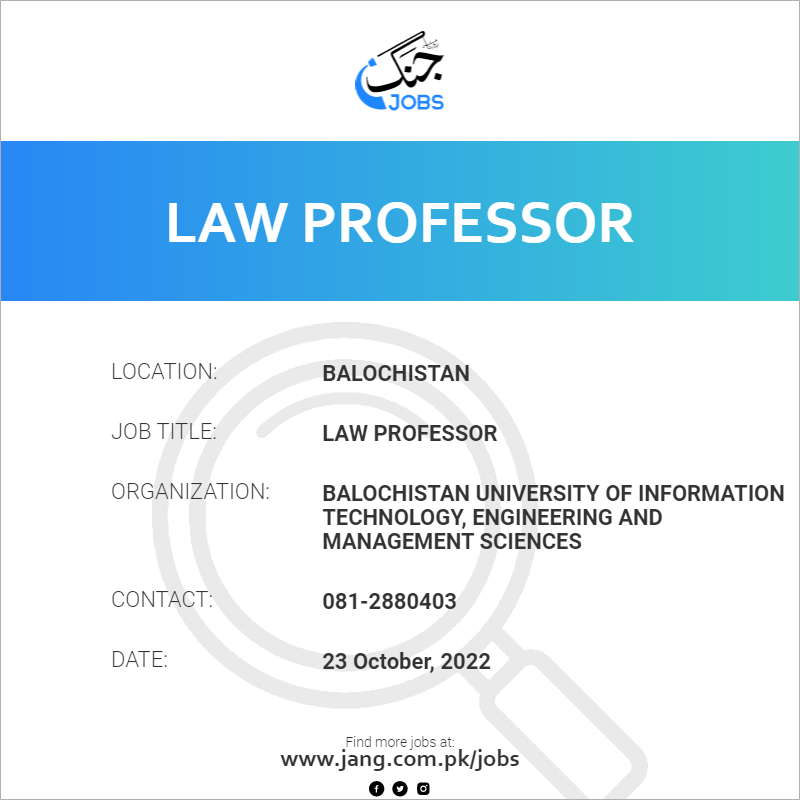 Law Professor 