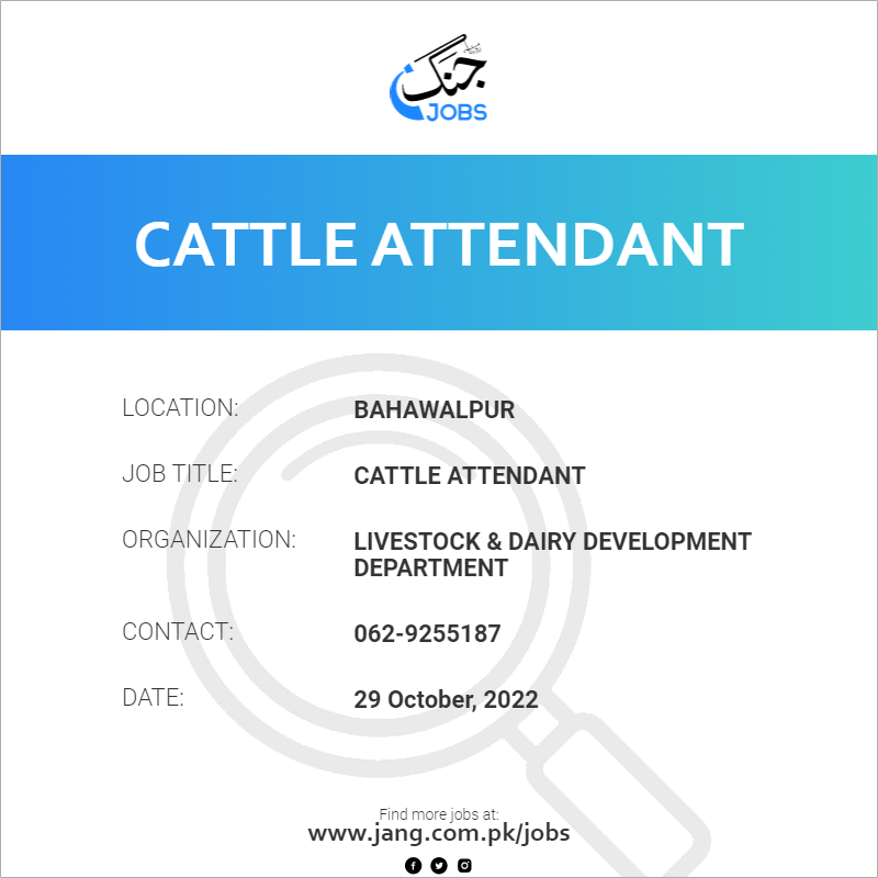 Cattle Attendant
