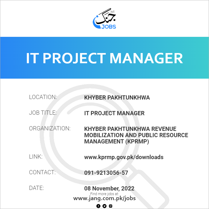 IT Project Manager