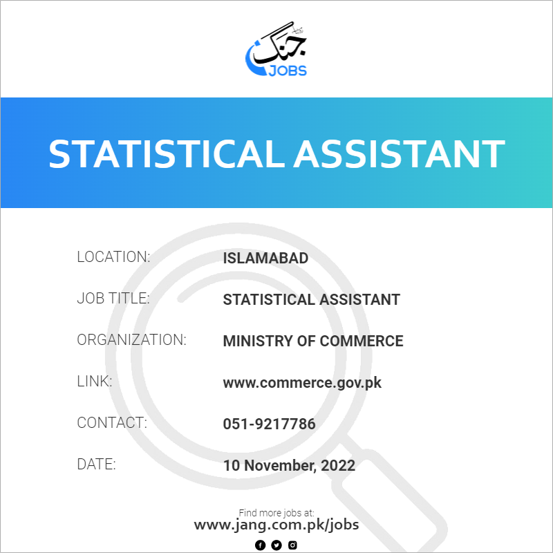 Statistical Assistant