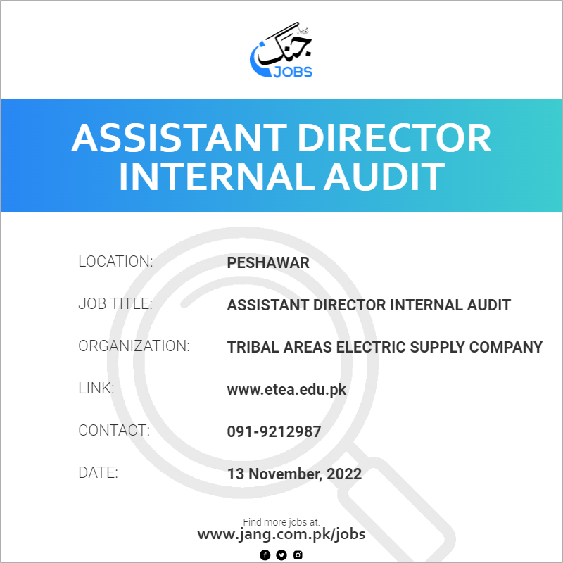 Assistant Director Internal Audit