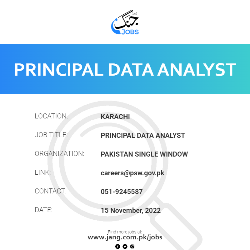 Principal Data Analyst