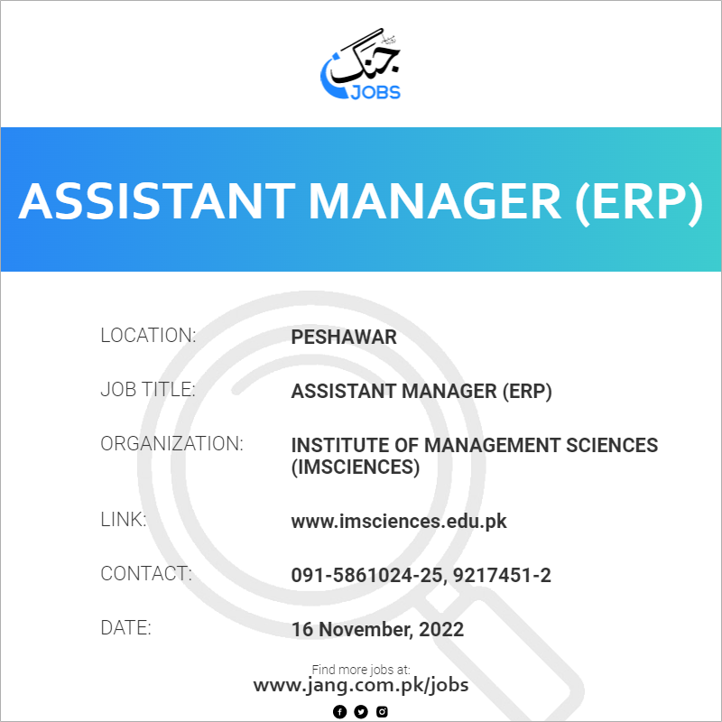 Assistant Manager (ERP)