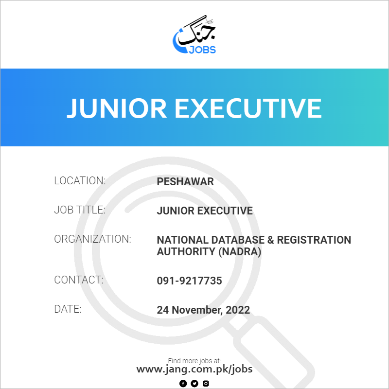 What Is Junior Executive Job