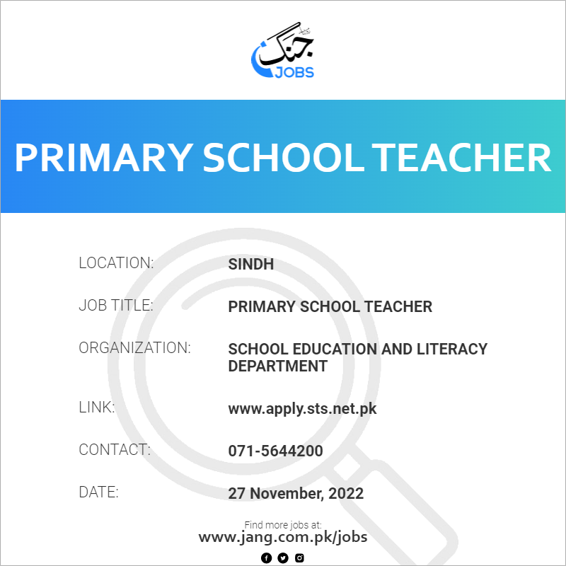 Primary School Teacher