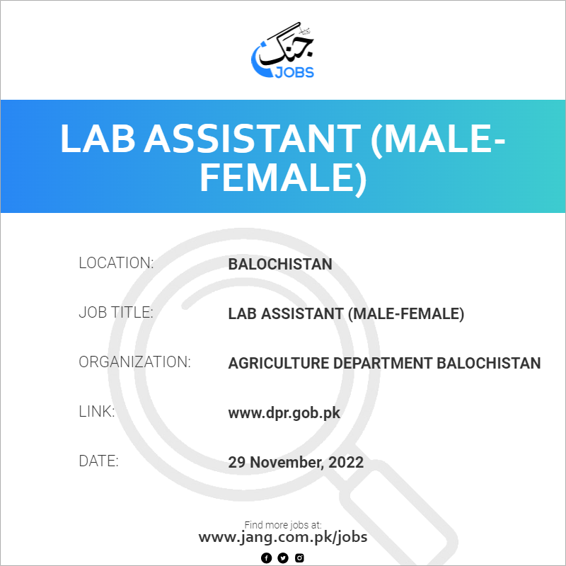Lab Assistant (Male-Female)