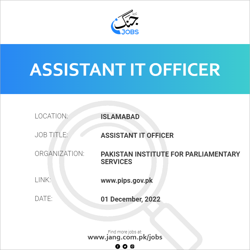 Assistant IT Officer