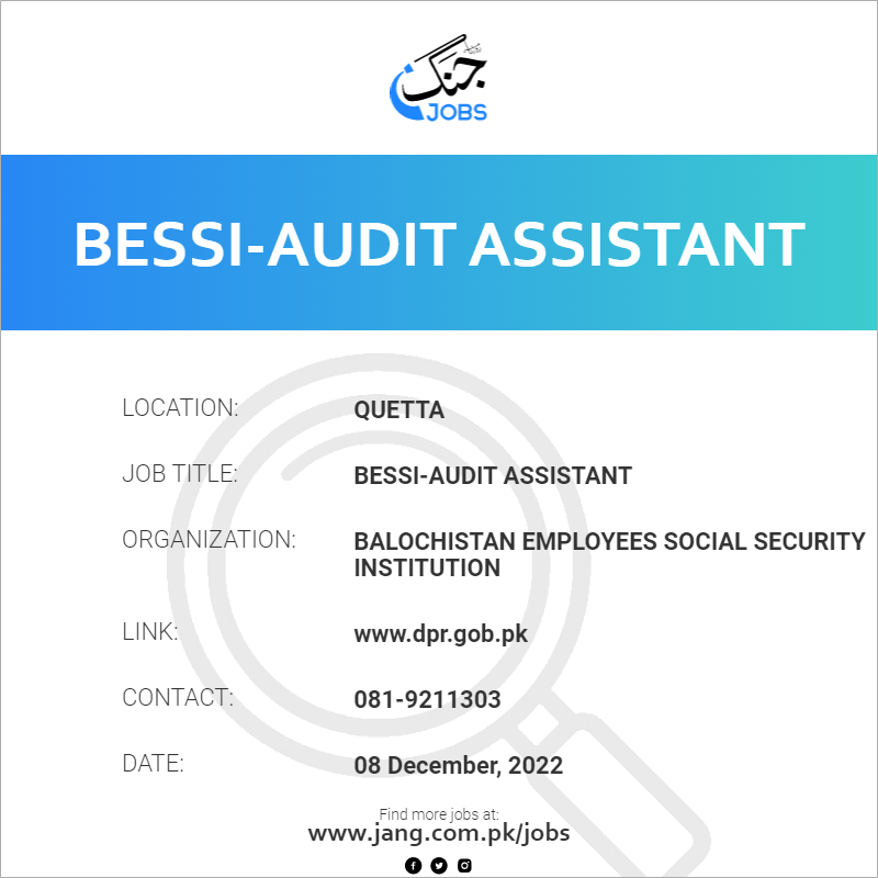BESSI-Audit Assistant