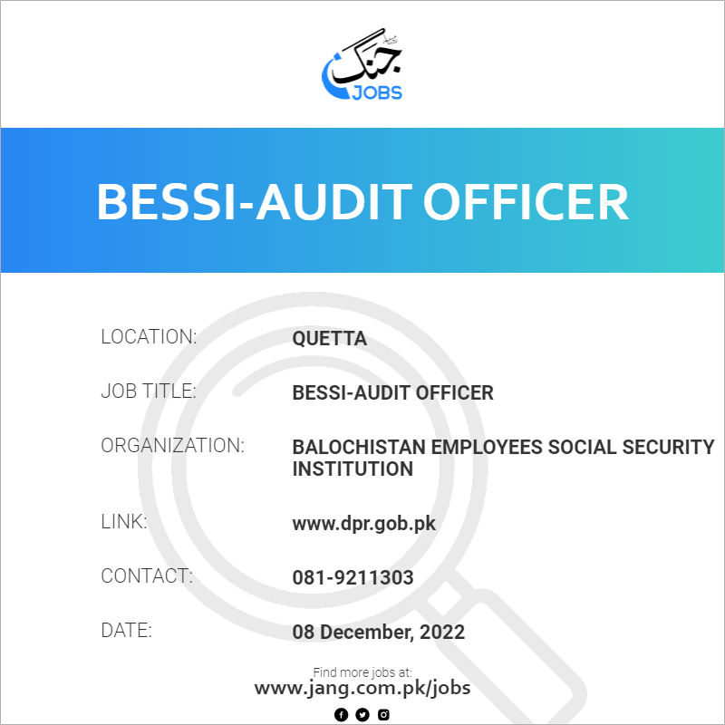 BESSI-Audit Officer