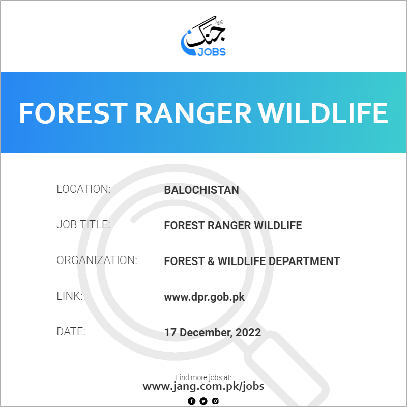 Forest Ranger Wildlife