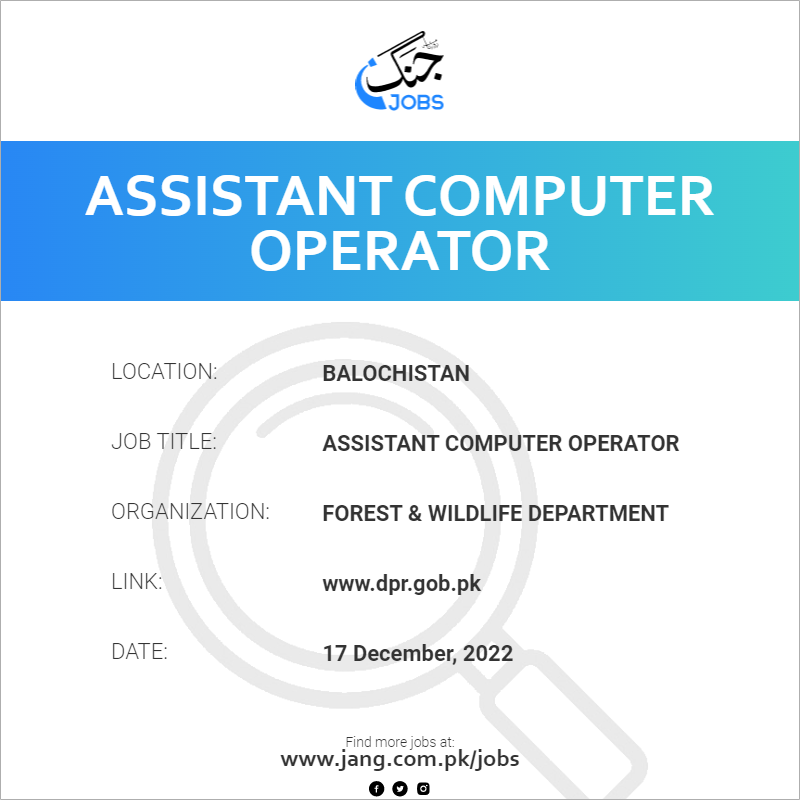 Assistant Computer Operator