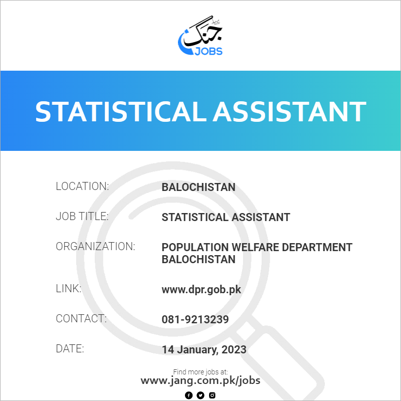 Statistical Assistant