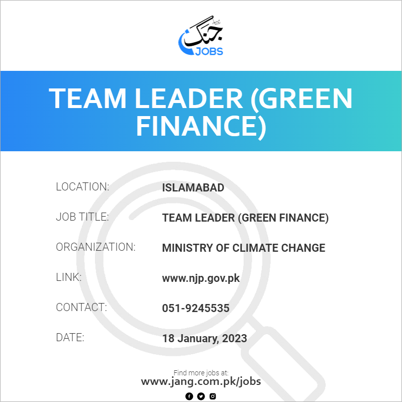 Team Leader (Green Finance)