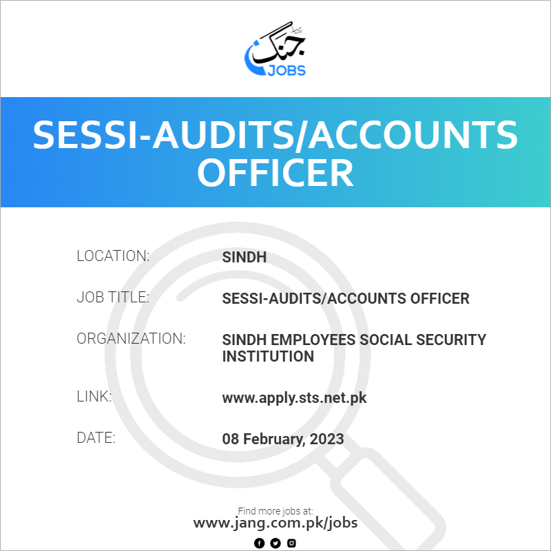 SESSI-Audits/Accounts Officer