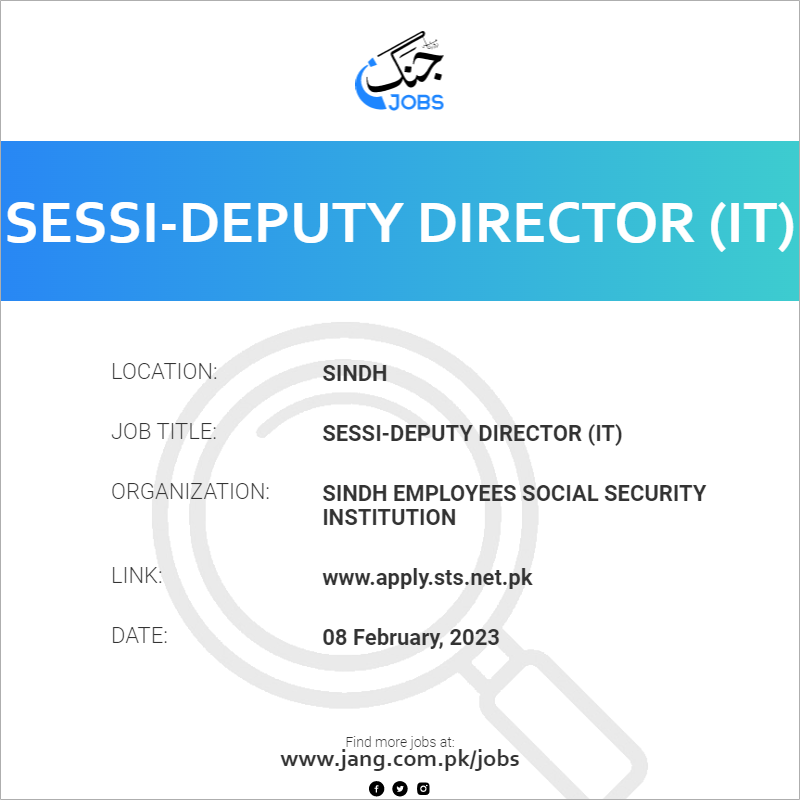 SESSI-Deputy Director (IT)