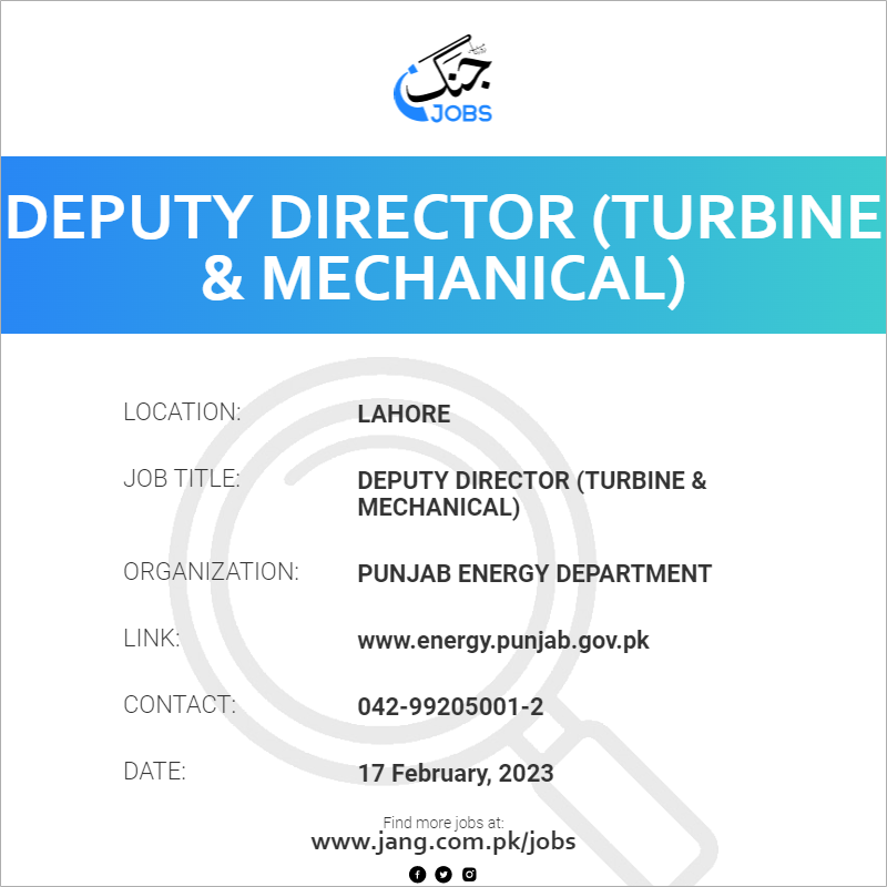 Deputy Director (Turbine & Mechanical)