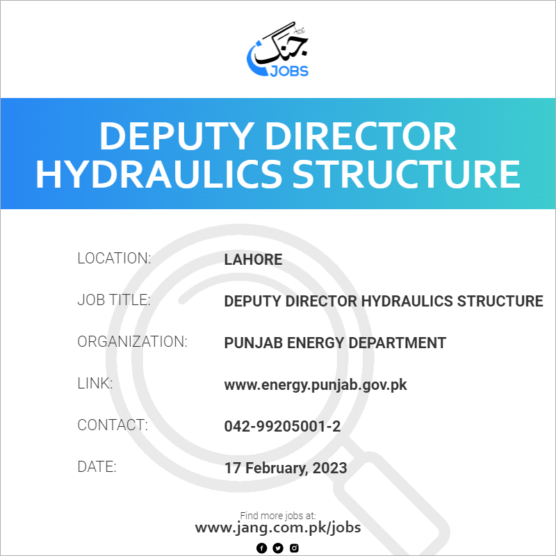 Deputy Director Hydraulics Structure