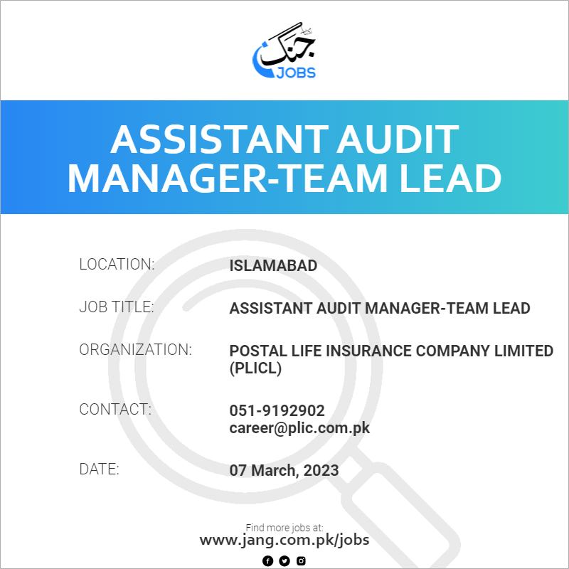 Assistant Audit Manager-Team Lead