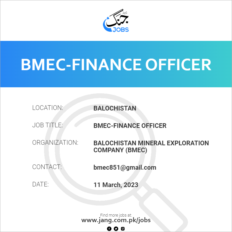 BMEC-Finance Officer