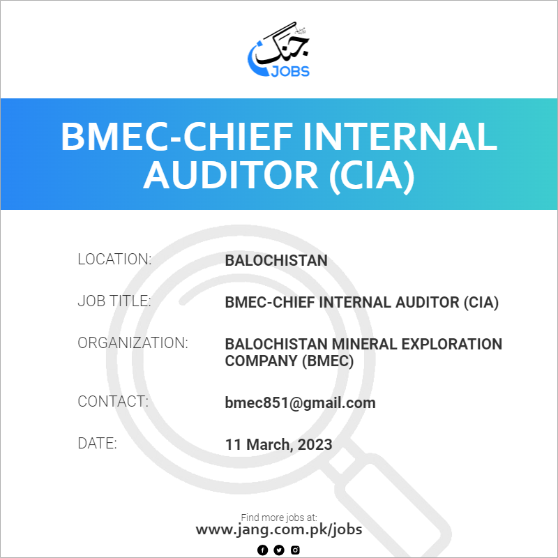 BMEC-Chief Internal Auditor (CIA)