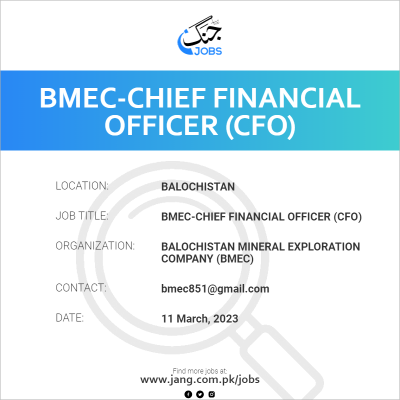 BMEC-Chief Financial Officer (CFO)