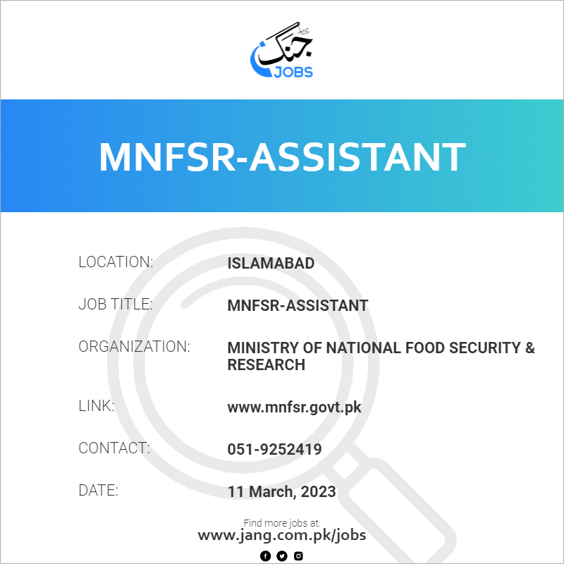 MNFSR-Assistant 