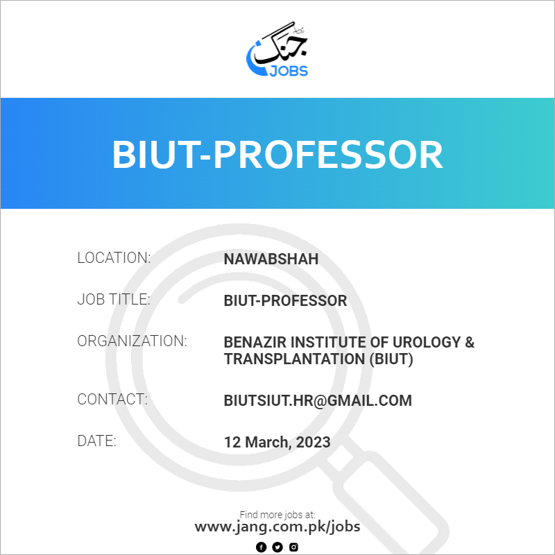 BIUT-Professor