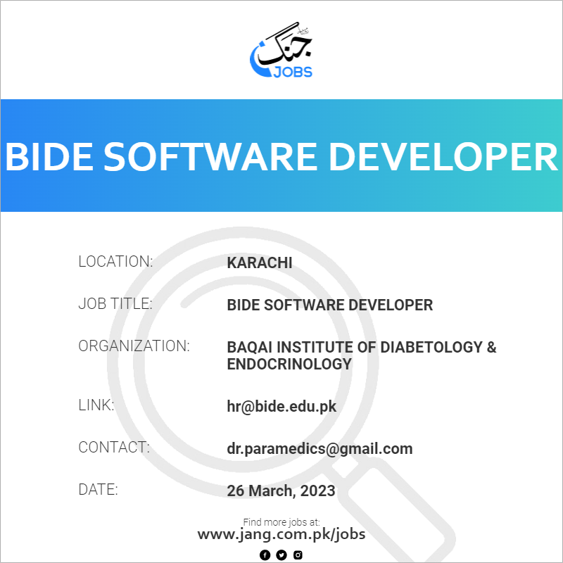 BIDE Software Developer