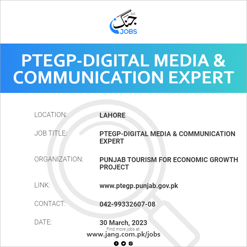 PTEGP-Digital Media & Communication Expert