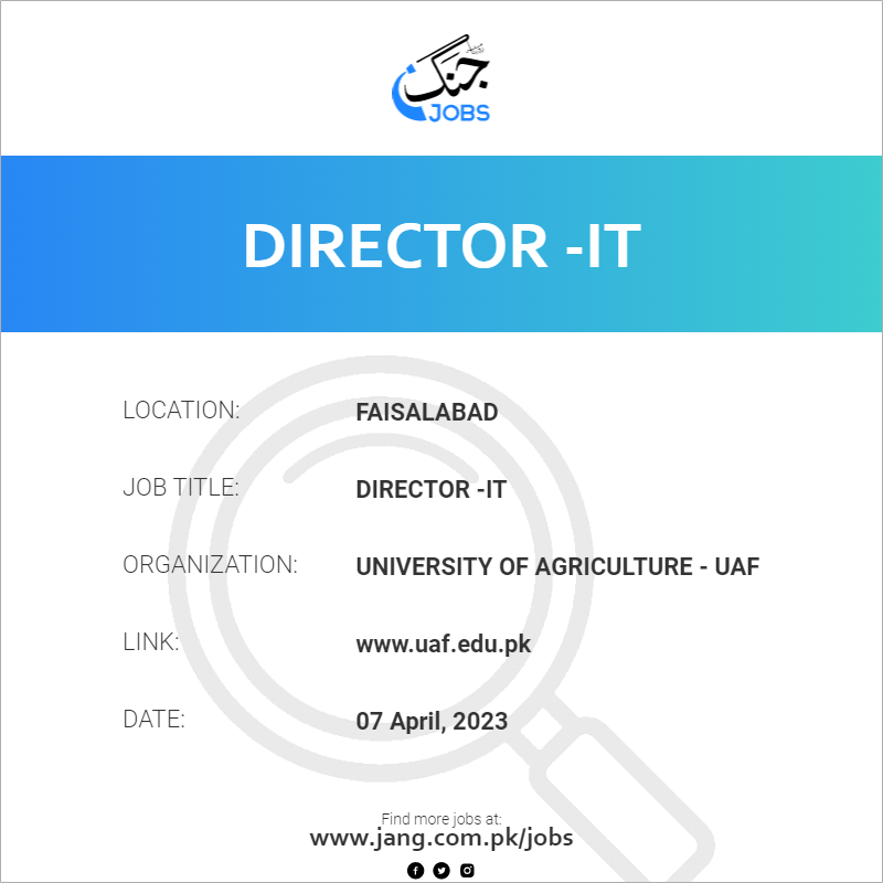 Director -IT