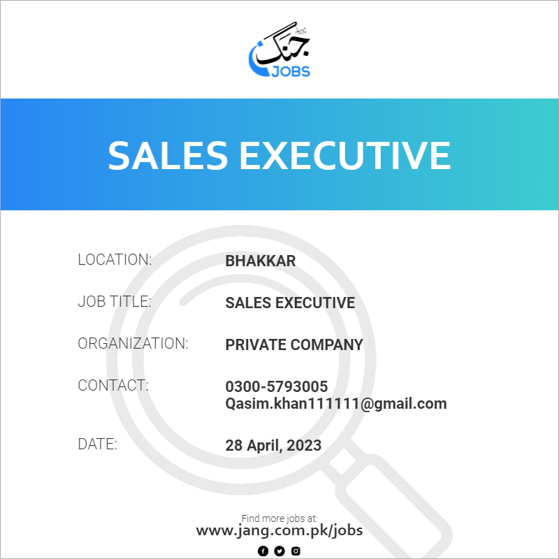 Sales Executive 