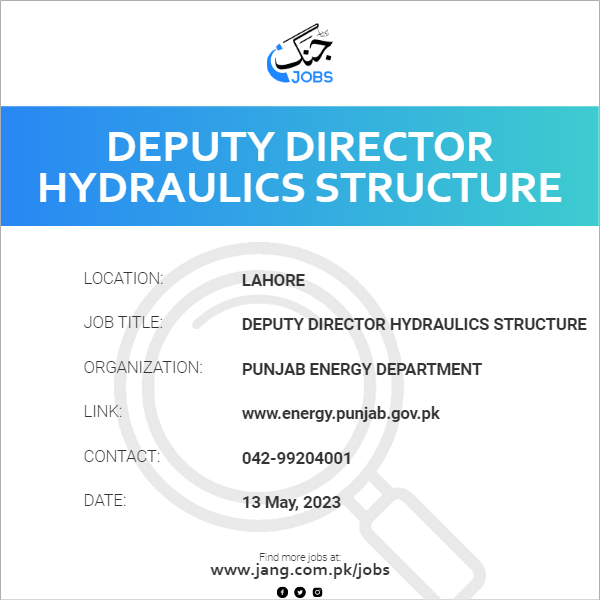 Deputy Director Hydraulics Structure