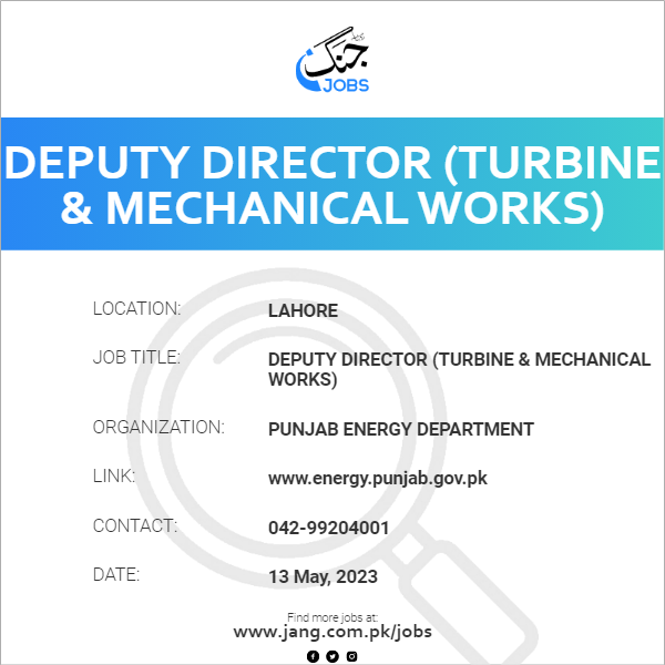 Deputy Director (Turbine & Mechanical works)