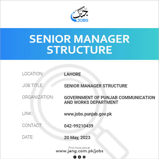 Senior Manager Structure