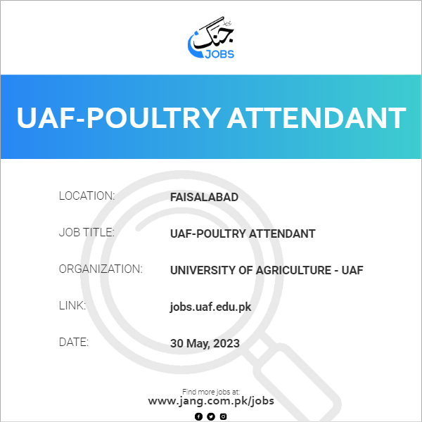 uaf-poultry-attendant-job-university-of-agriculture-uaf-jobs-in