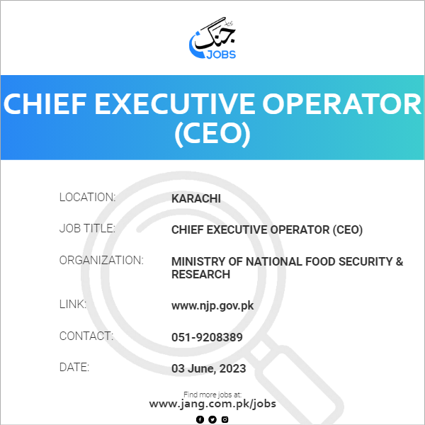 Chief Executive Operator (CEO)