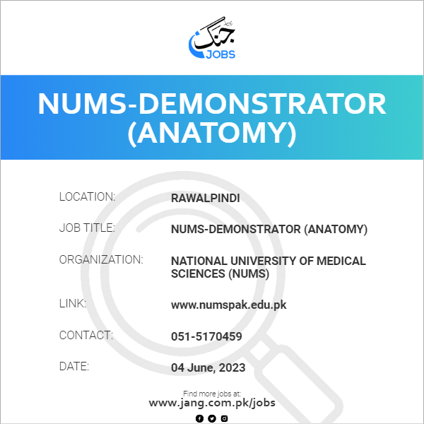 NUMS-Demonstrator (Anatomy)