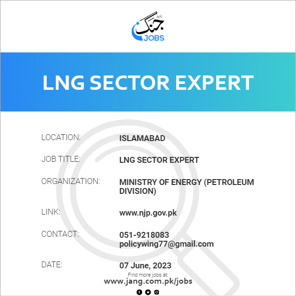 LNG Sector Expert