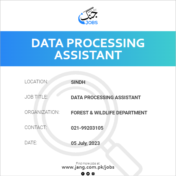 Data Processing Assistant