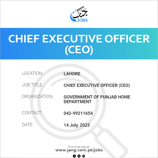 Chief Executive Officer (CEO)