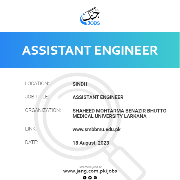 Assistant Engineer