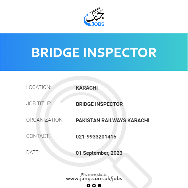 Bridge Inspector