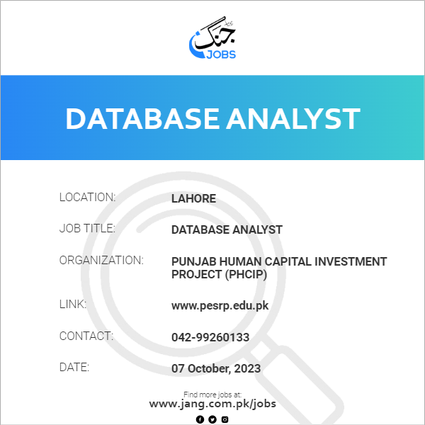 Database Analyst Job Punjab Human Capital Investment Project phcip 