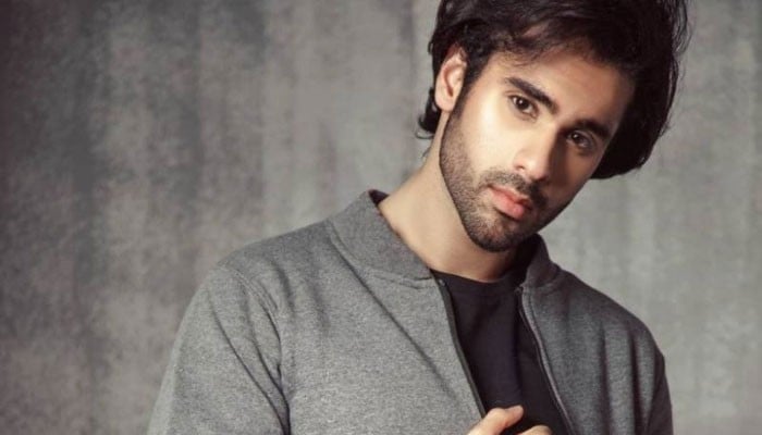 Actor Ameer Gilani Opens Up About Marriage Plans