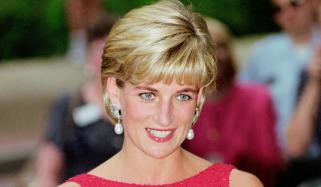 ‘We fought hard’: Doctor who tried to save Princess Diana’s life after horrific car crash