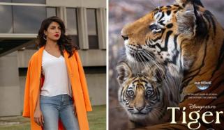 Priyanka Chopra announces her new voice project 'Tiger': 'incredible story'