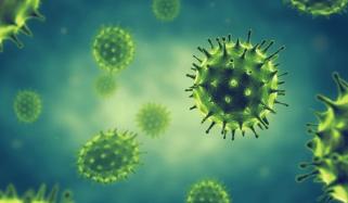 Scientist warn of another global pandemic after COVID-19: Read