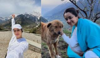 Shraddha Kapoor drops glimpse from her mountain getaway 