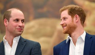 Prince William is ‘jealous’ of Prince Harry’s new lifestyle